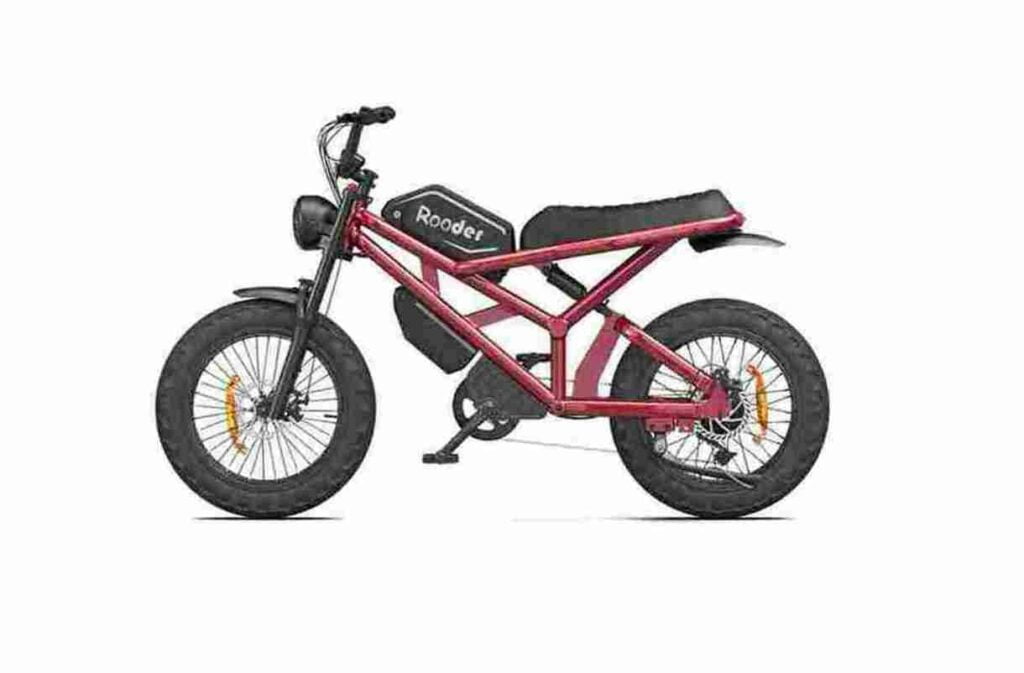 Bicicleta Eléctrica Fat Tire 750 Watts Rooder Dominicana